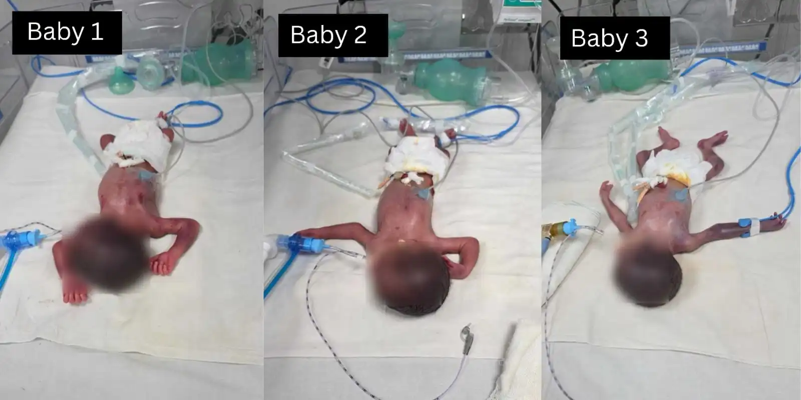 Save Life B/O Kalyani