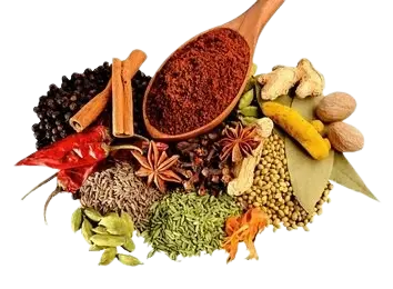 Masala (100 g)