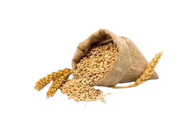 Wheat Flour (1 kg)